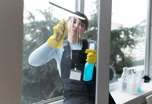 Nettoyage de vitres intérieures et extérieures à Mazaye